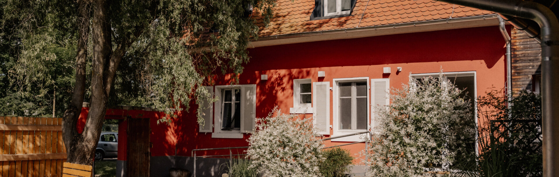 2025_05_Birkenhof_Mandy_Sue_Barth (22 von 56) 2025_05_Birkenhof_Mandy_Sue_Barth (22 von 56)