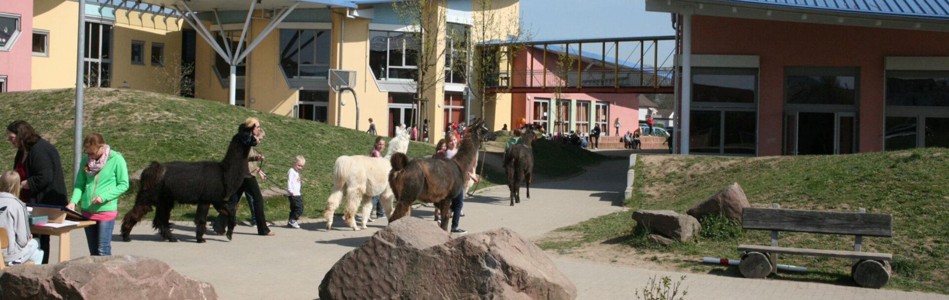 Außengelände mit lamaführung-conten-therapien-ESENT-parzival-zentrum-karlsruhe