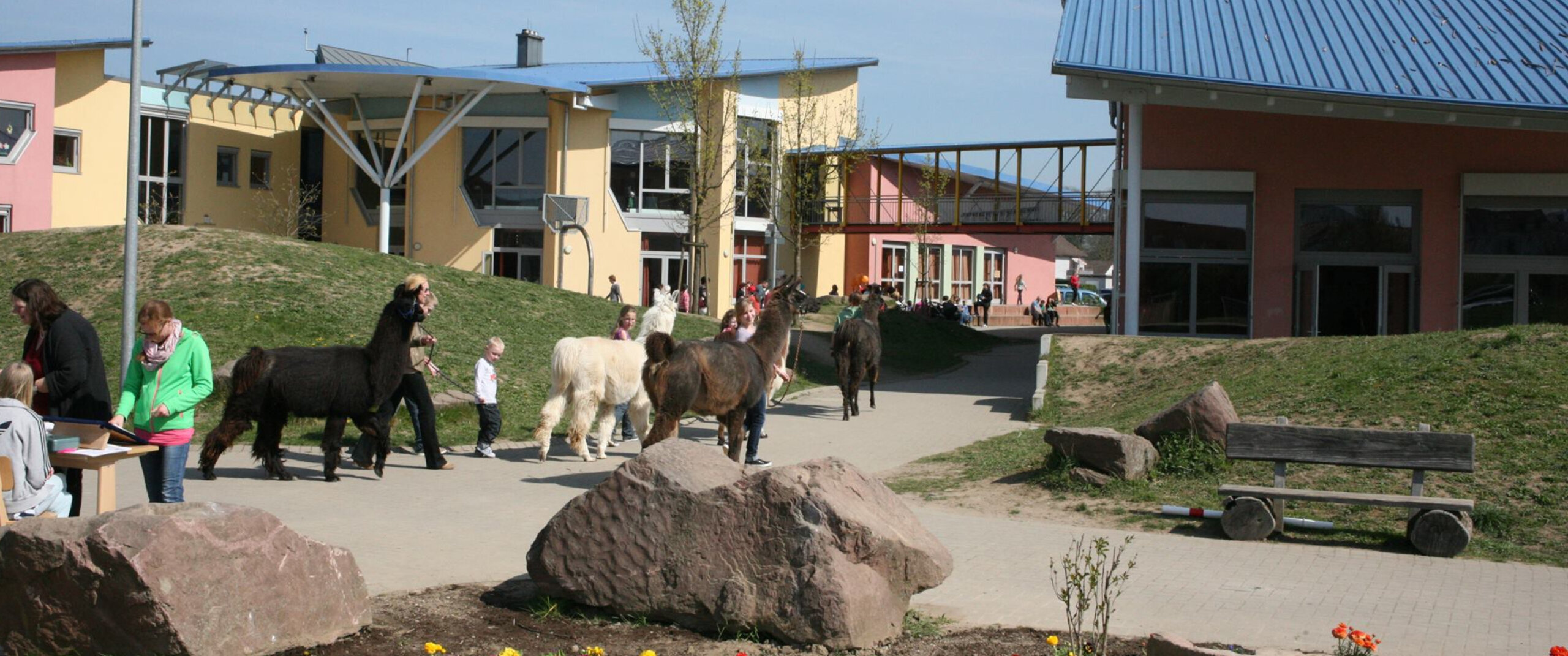 Außengelände mit lamaführung-conten-therapien-ESENT-parzival-zentrum-karlsruhe