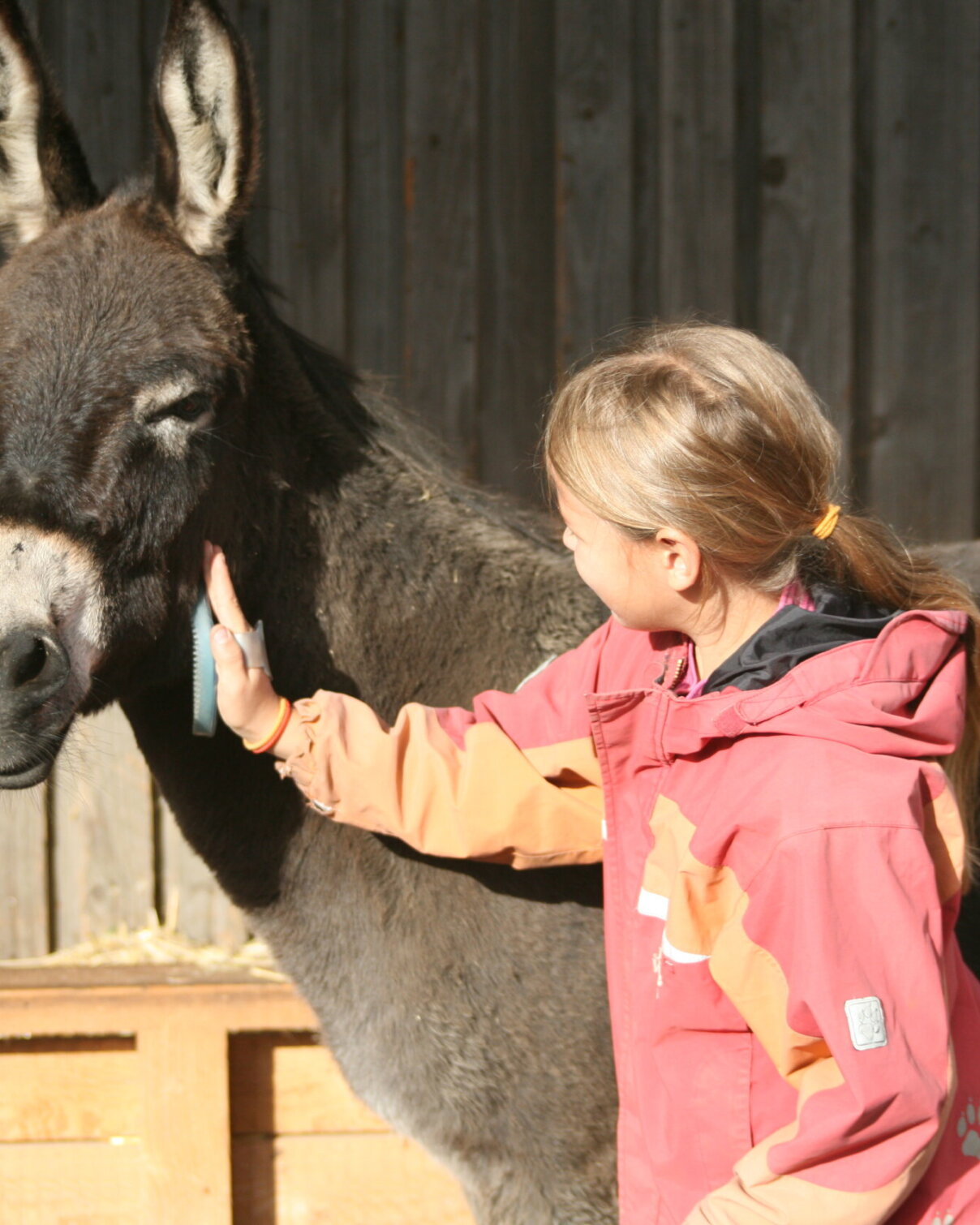 Ambulanz_Tierintervention_Eselpflege_Einzel_Mädchen