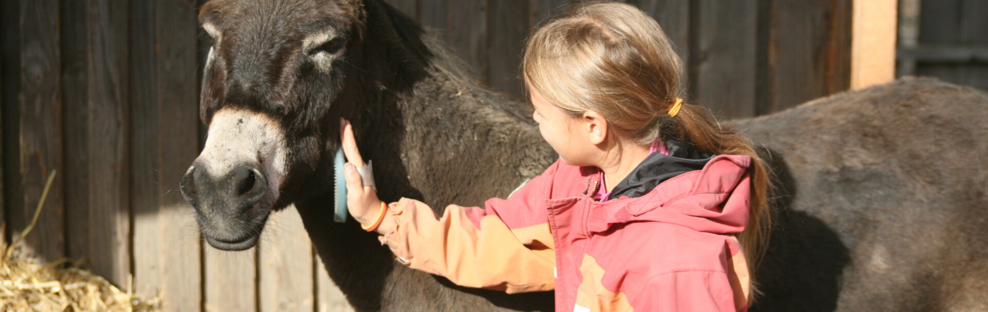 Ambulanz_Tierintervention_Eselpflege_Einzel_Mädchen Ambulanz_Tierintervention_Eselpflege_Einzel_Mädchen