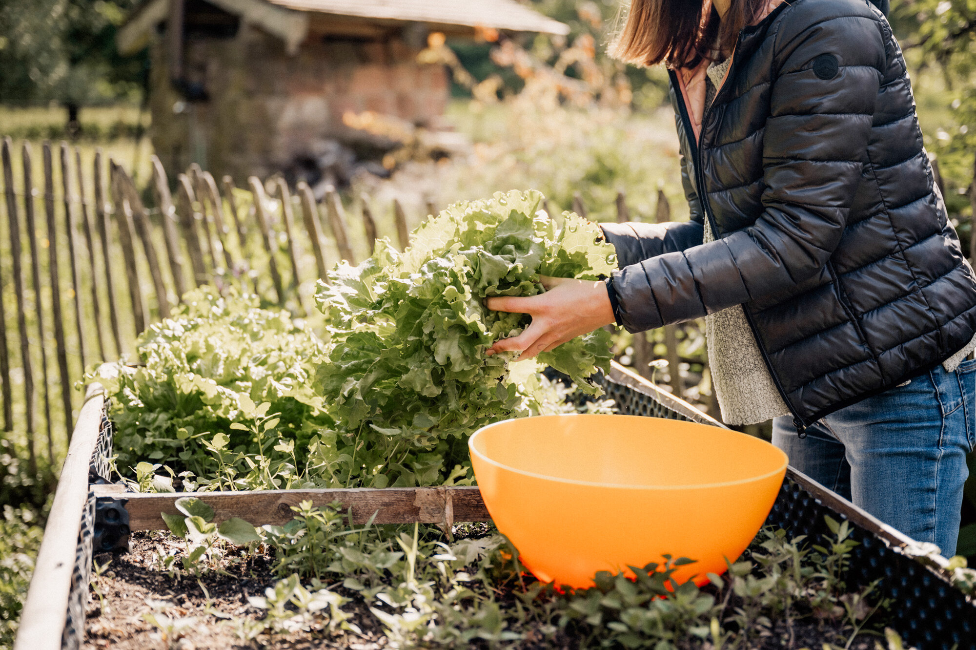 eigener-garten-content-jugendhilfe-parzival-zentrum-karlsruhe