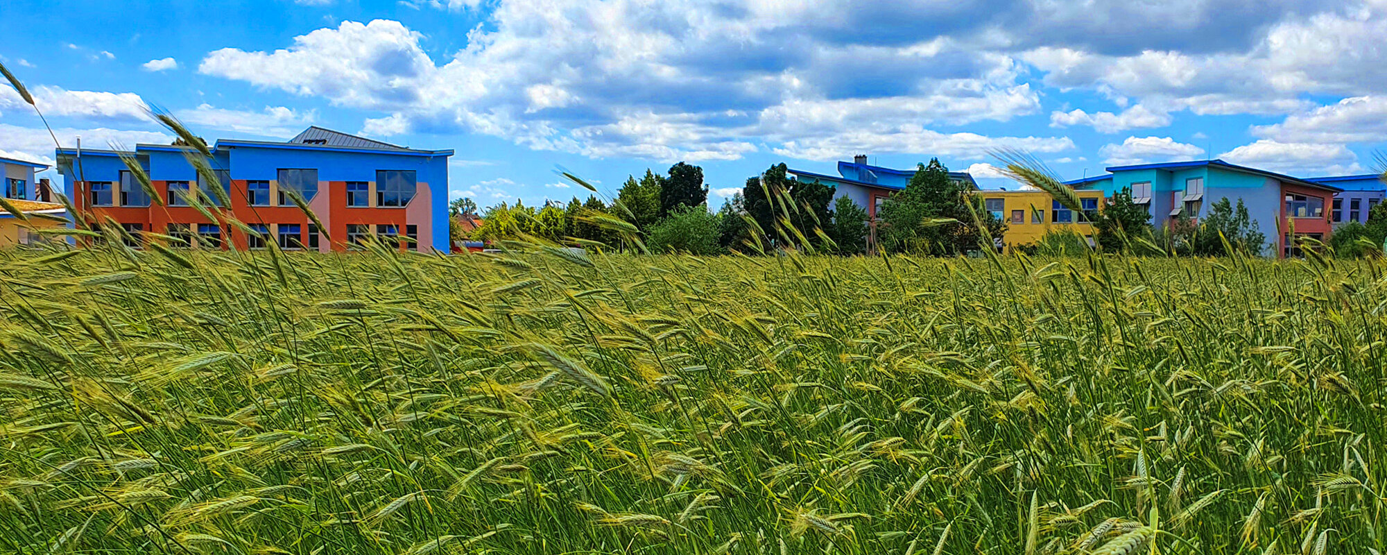 feld-footer-parzival-zentrum-karlsruhe