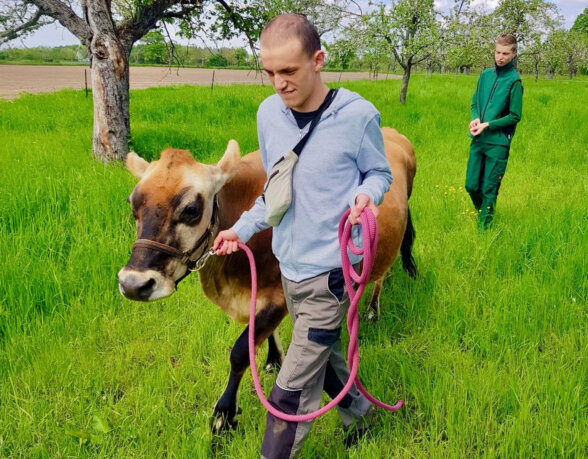 spaziergang-mit-kuh-content-lebens--und-werkgemeinschaft-parzival-zentrum-karlsruhe spaziergang-mit-kuh-content-lebens--und-werkgemeinschaft-parzival-zentrum-karlsruhe