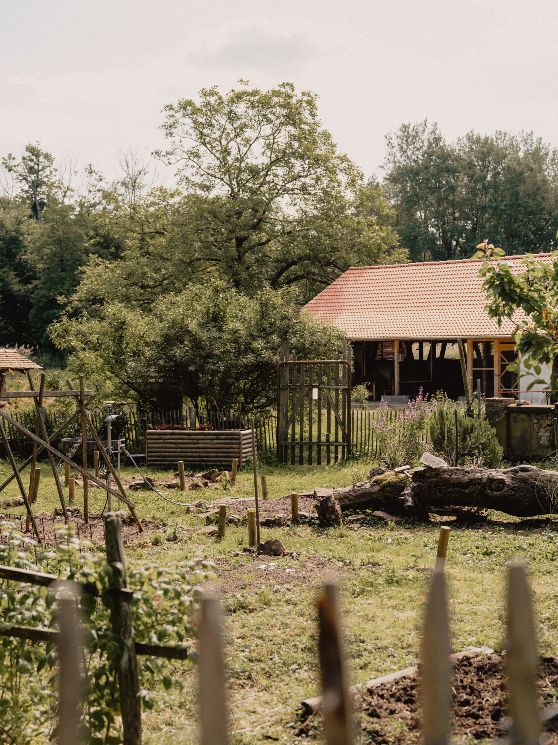 2025_05_Birkenhof_Mandy_Sue_Barth (16 von 56) birkenhof-außenbild-content-wohngruppen-jugendhilfe-parzival-zentrum-karlsruhe