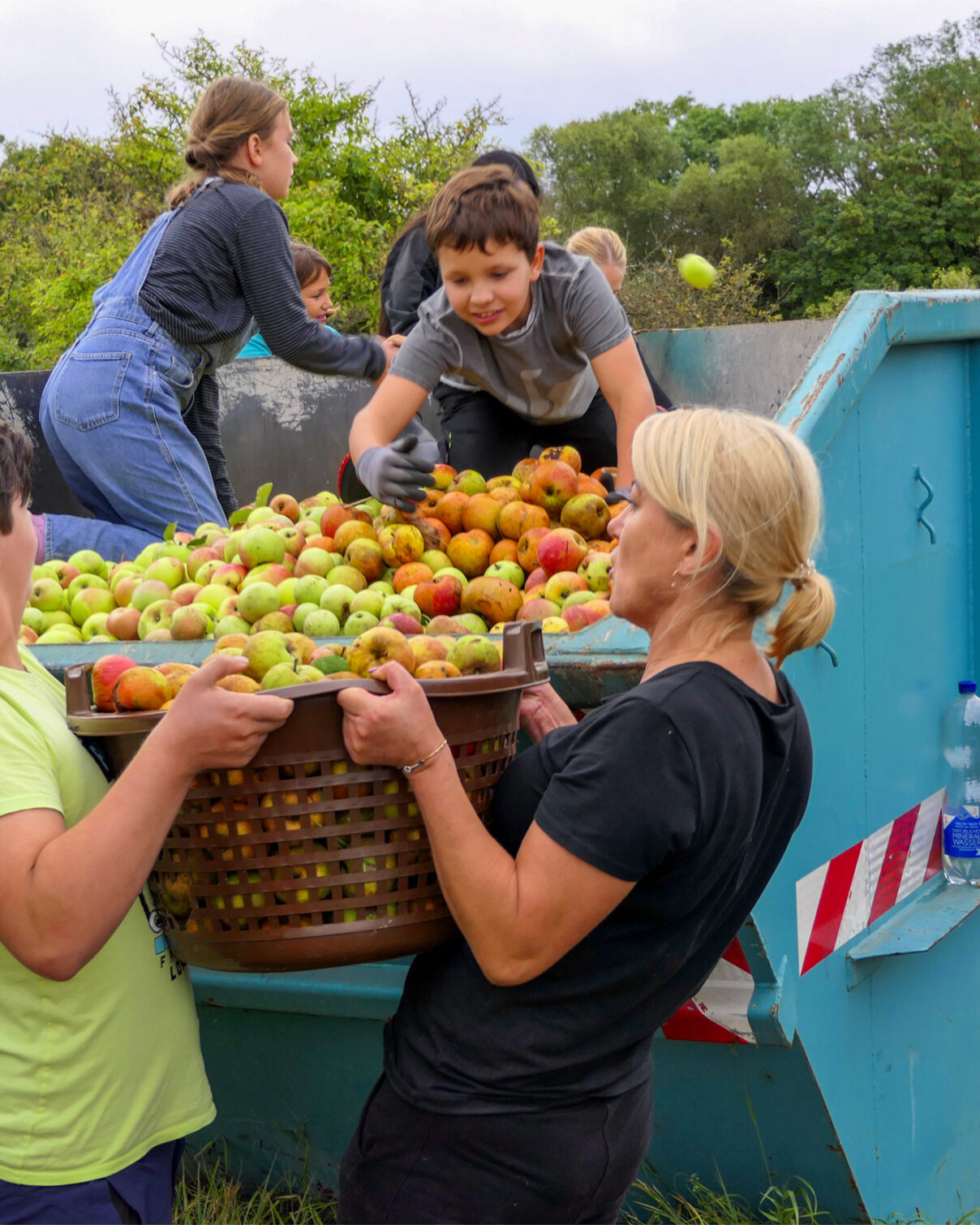 gemeinsames-sammeln-frischer-aepfel-content-Sonnenhof-parzival-zentrum-karlsruhe