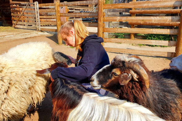 mädchen-kümmert_sich-um-tiere-sonnenhof-parzival-zentrum-karlsruhe