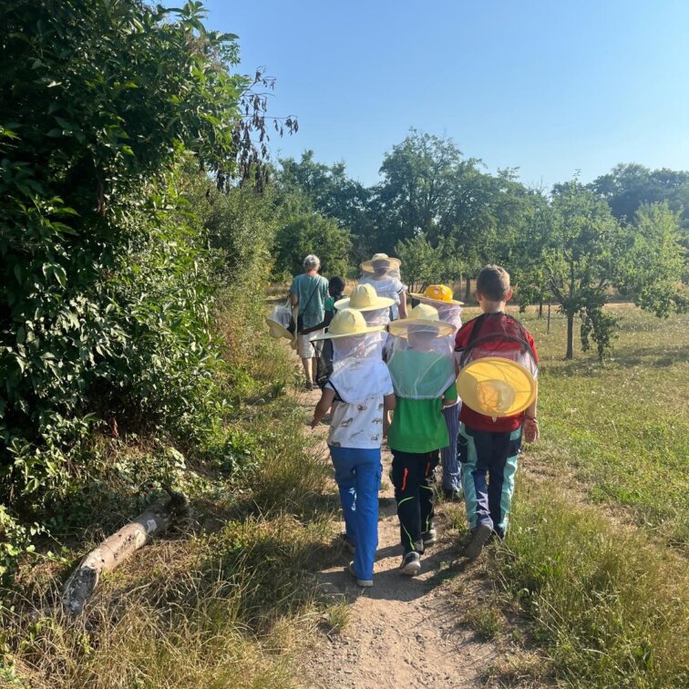 Kinder laufen zu den Bienen-KSS-parzival-zentrum-karlsruhe