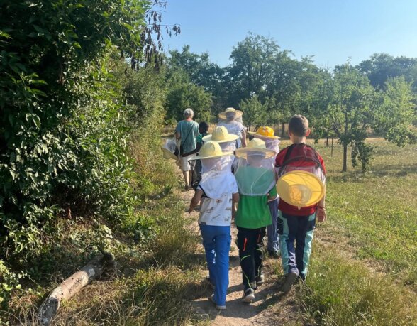Kinder laufen zu den Bienen-KSS-parzival-zentrum-karlsruhe
