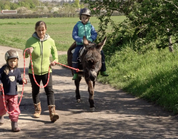 Tiergestützte Pädagogik-Interventionen-Ambulanz für Notfallpädagogik-Parzival-Zentrum-Karlsruhe