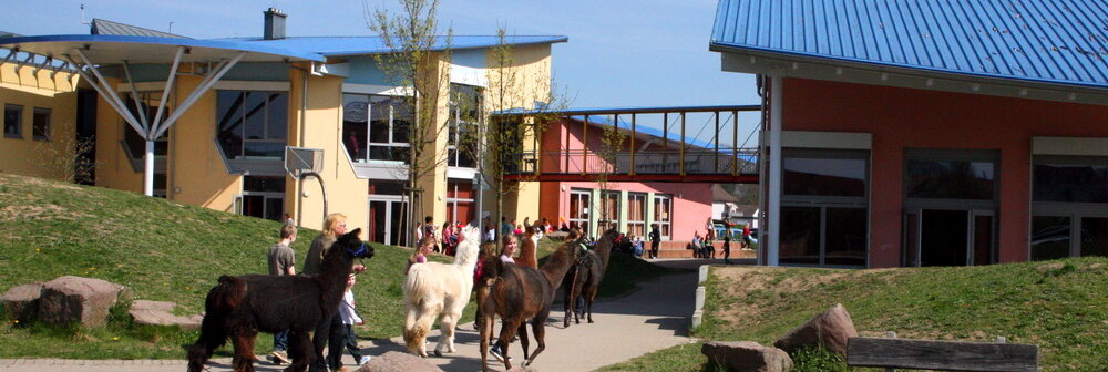 Außengelänade-mit Lamas-Header-Startseite-Parzial-Zentrum Karlsruhe Außengelänade-mit Lamas-Header-Startseite-Parzial-Zentrum Karlsruhe