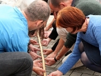 Anthroposophischer Begegnungstag 2015