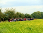 Apfelernte 2012