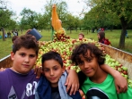 Apfelernte 2012