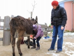 Besuch vom Fernsehen Baden TV | 02