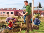 grüner Tag 2012