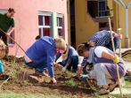 grüner Tag 2012