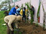 Grüner Tag