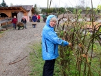 Grüner Tag