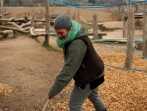 Grüner Tag 2015