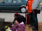 Grüner Tag 2015