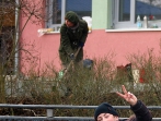 Grüner Tag 2015