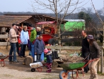 Grüner Tag 2015
