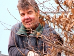 Grüner Tag 2015