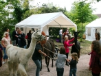 Hagsfelder Kerwe 2015