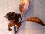 IMG-20140408-00128