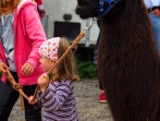 Sonnenhof- Fest 14