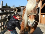 Sonnenhof Impressionen
