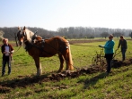 Sonnenhof Impressionen