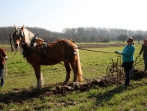 Sonnenhof Impressionen