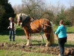 Sonnenhof Impressionen