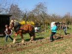 Sonnenhof Impressionen