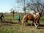 Sonnenhof Impressionen
