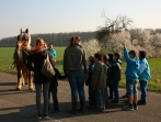 Sonnenhof Impressionen