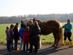 Sonnenhof Impressionen