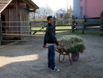Sonnenhof Impressionen