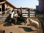 Sonnenhof Impressionen