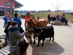 Tag der offenen Tür 16.03.13