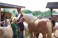 Tiersegnungsgottesdienst auf dem Storchenhof