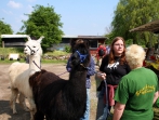 Tiersegnungsgottesdienst  auf dem Storchenhof 13