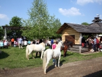 Tiersegnungsgottesdienst  auf dem Storchenhof 13