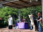 Tiersegnungsgottesdienst  auf dem Storchenhof 13