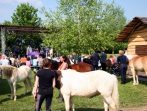 Tiersegnungsgottesdienst  auf dem Storchenhof 13