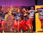 Circo Ponte das Estrelas_21_Bildgröße ändern