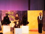 Circo Ponte das Estrelas_41_Bildgröße ändern