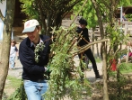 Grüner Tag 17_25